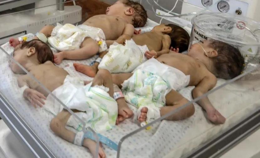 الأحوال المدنية تسجل 5493 مولوداً و203 وفيات في غزة