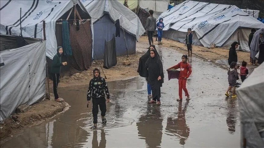 التنمية الاجتماعية تحذّر من كارثة إنسانية وشيكة بغزة مع اقتراب الشتاء