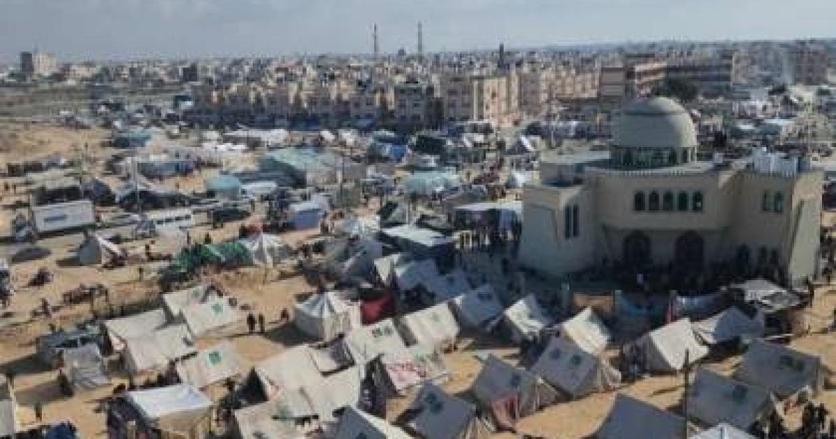 دراسة: مشروع «رفح الجديدة» تقلّص من 500 ألف مستفيد إلى 50 ألفاً