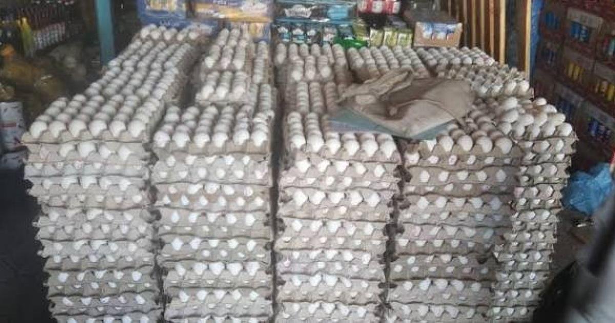 إتلاف كميات كبيرة من البيض التالف في خان يونس